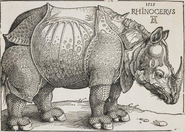 H.H. Rumbler: Albrecht Dürer, Nürnberg 1471 - 1528 Nürnberg, RHINOCERUS 1515, Holzschnitt 21,1 x 29,7 cm, Eine der populärsten Bildschöpfungen Dürer